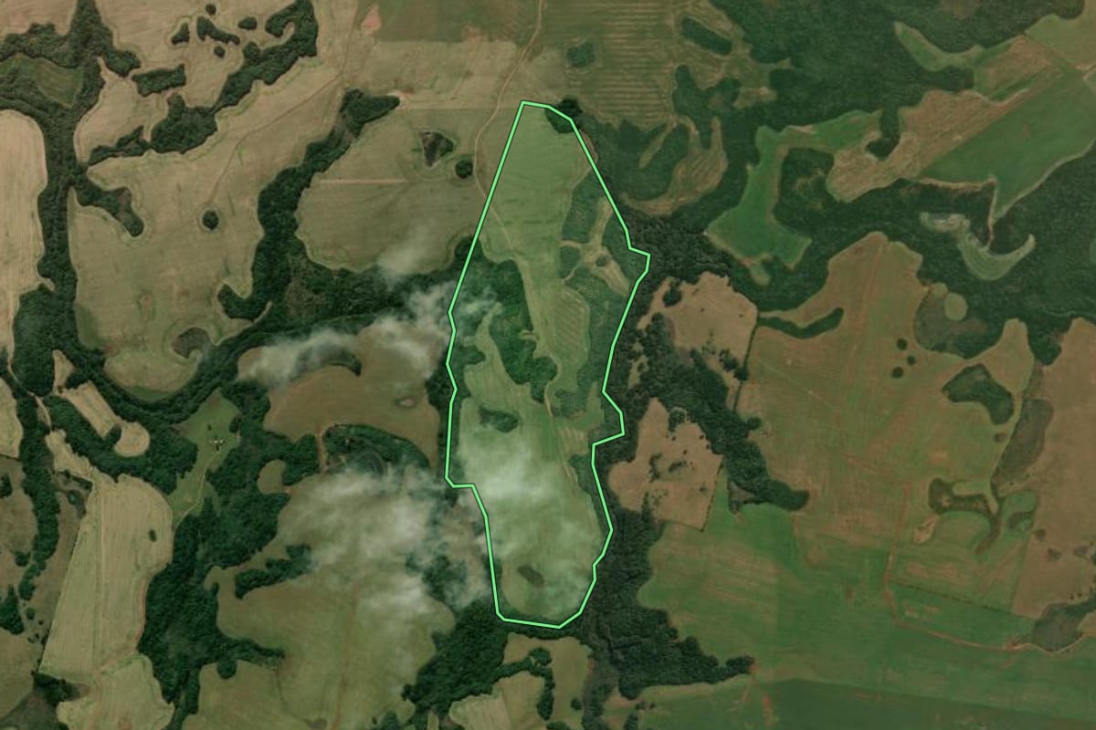 Imagem de satélite do imóvel rural em Muitos Capões (RS), com o contorno declarado no CAR desenhado por cima.