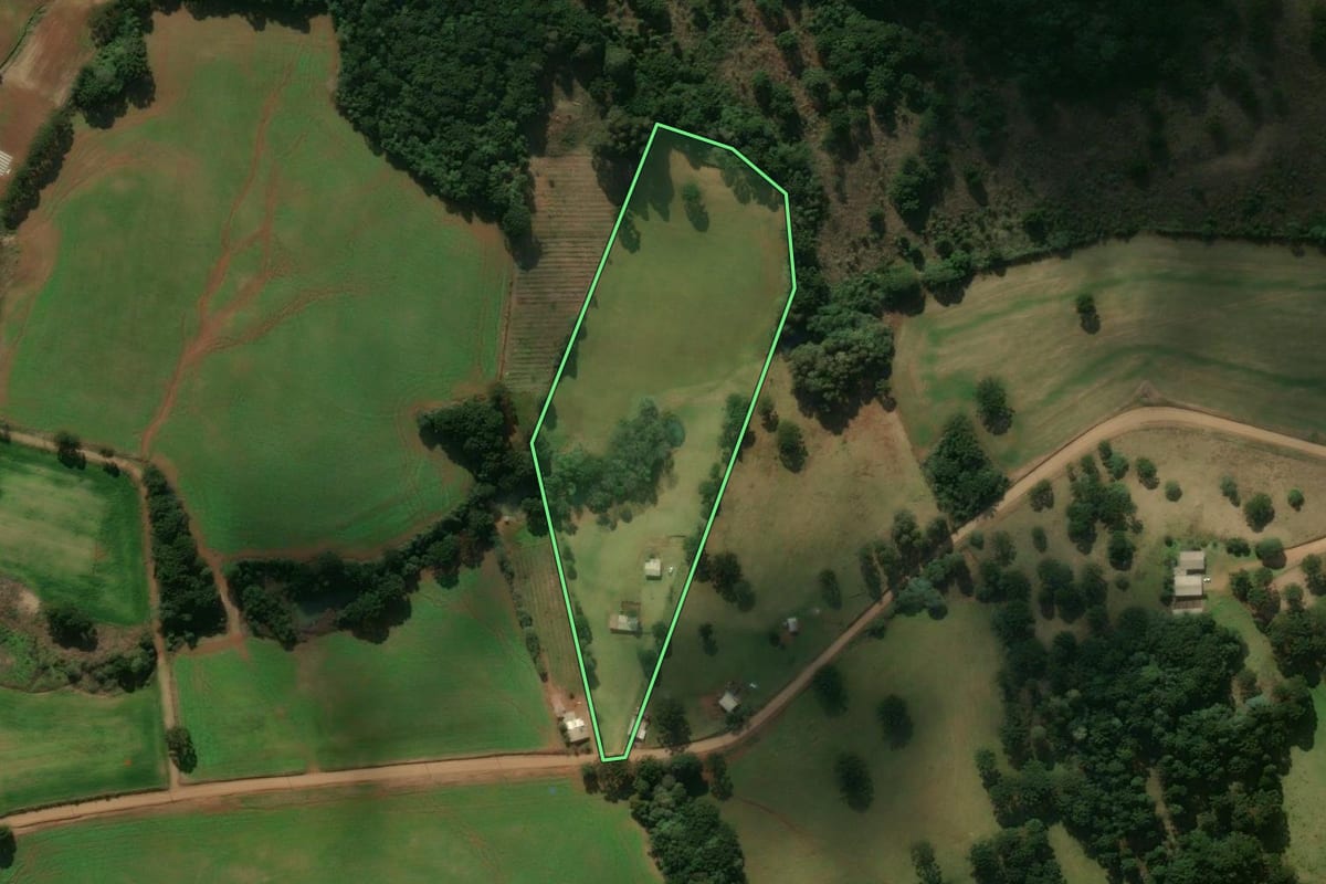 Imagem de satélite do imóvel rural em Muitos Capões (RS), com o contorno declarado no CAR desenhado por cima.