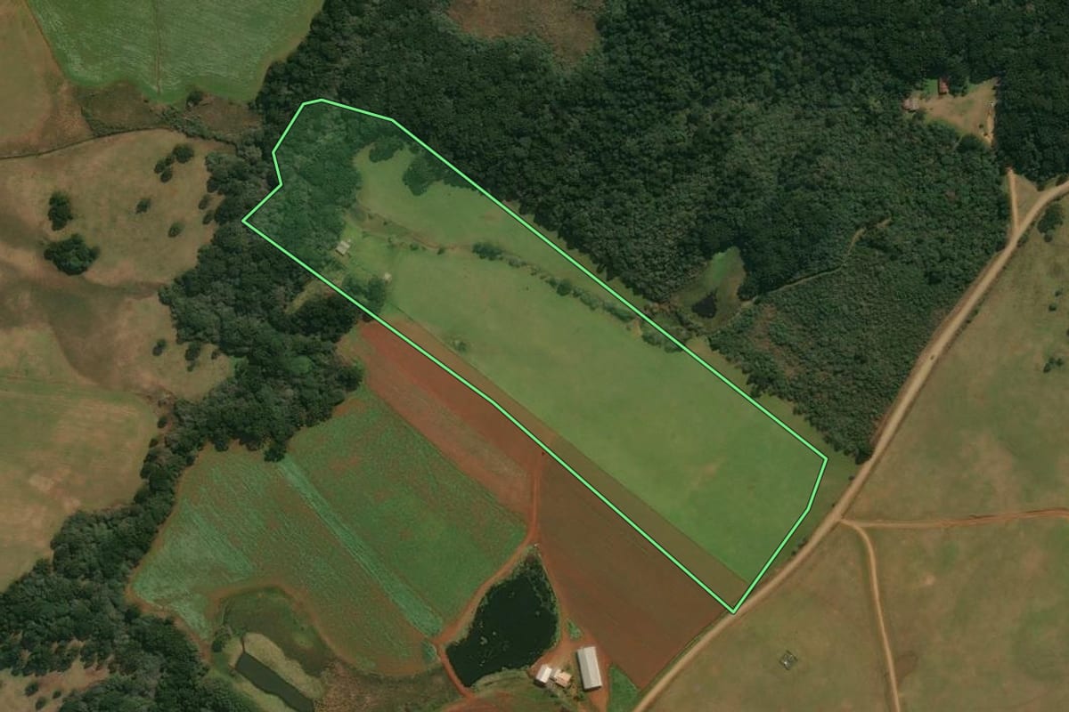 Imagem de satélite do imóvel rural em Muitos Capões (RS), com o contorno declarado no CAR desenhado por cima.