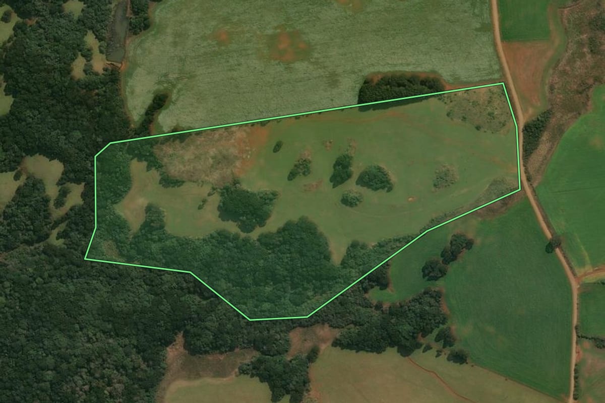 Imagem de satélite do imóvel rural em Muitos Capões (RS), com o contorno declarado no CAR desenhado por cima.