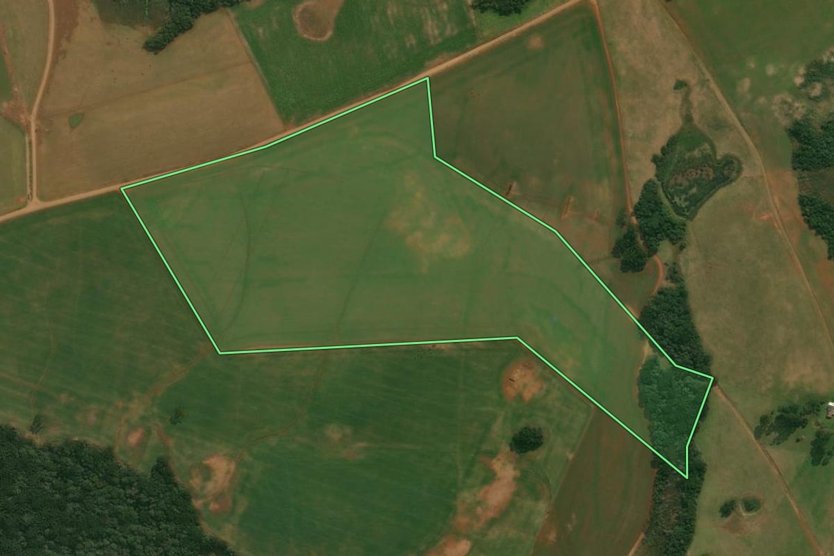 Imagem de satélite do imóvel rural em Muitos Capões (RS), com o contorno declarado no CAR desenhado por cima.