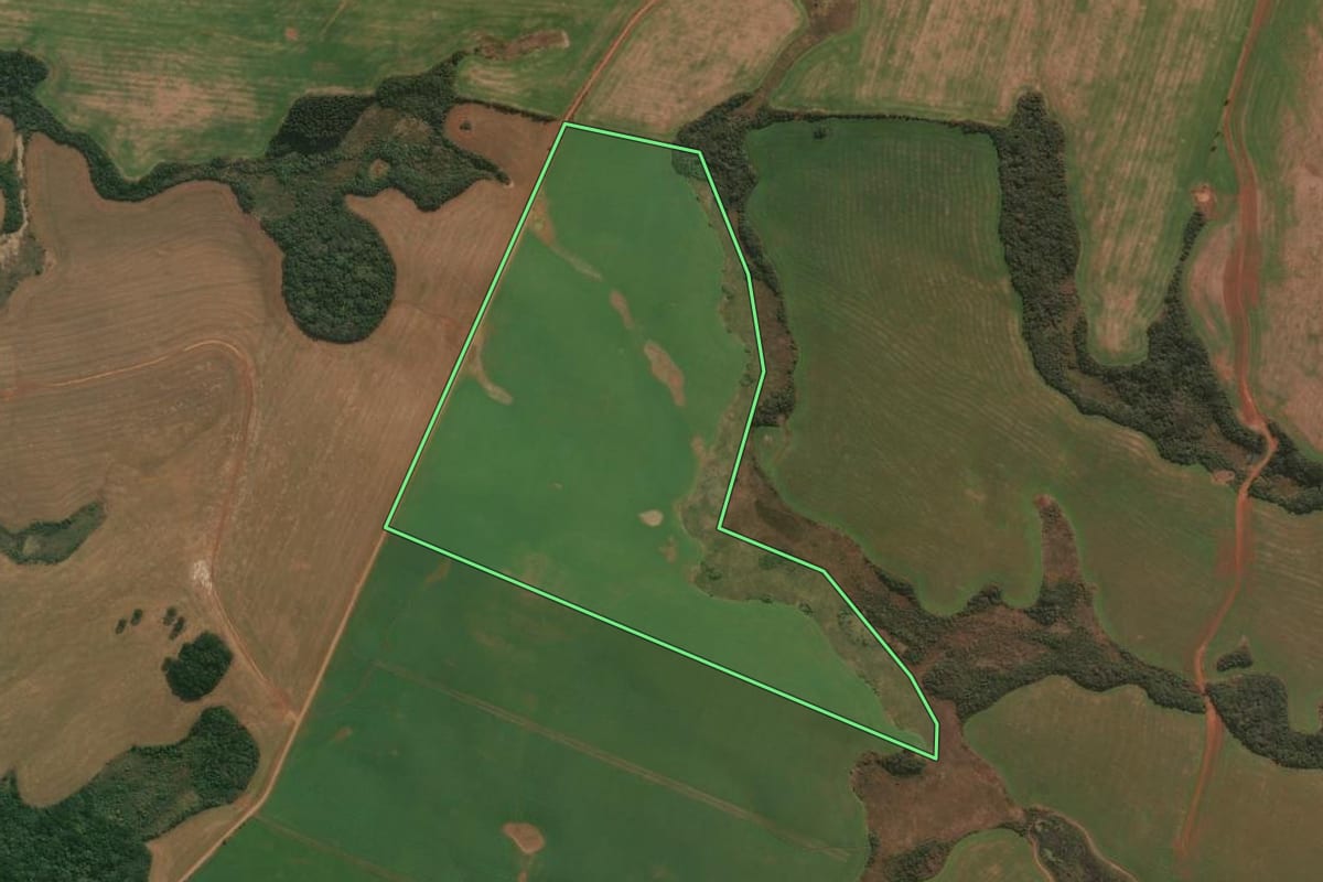 Imagem de satélite do imóvel rural em Muitos Capões (RS), com o contorno declarado no CAR desenhado por cima.