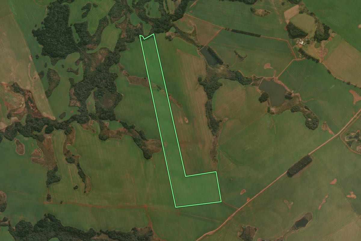 Imagem de satélite do imóvel rural em Muitos Capões (RS), com o contorno declarado no CAR desenhado por cima.