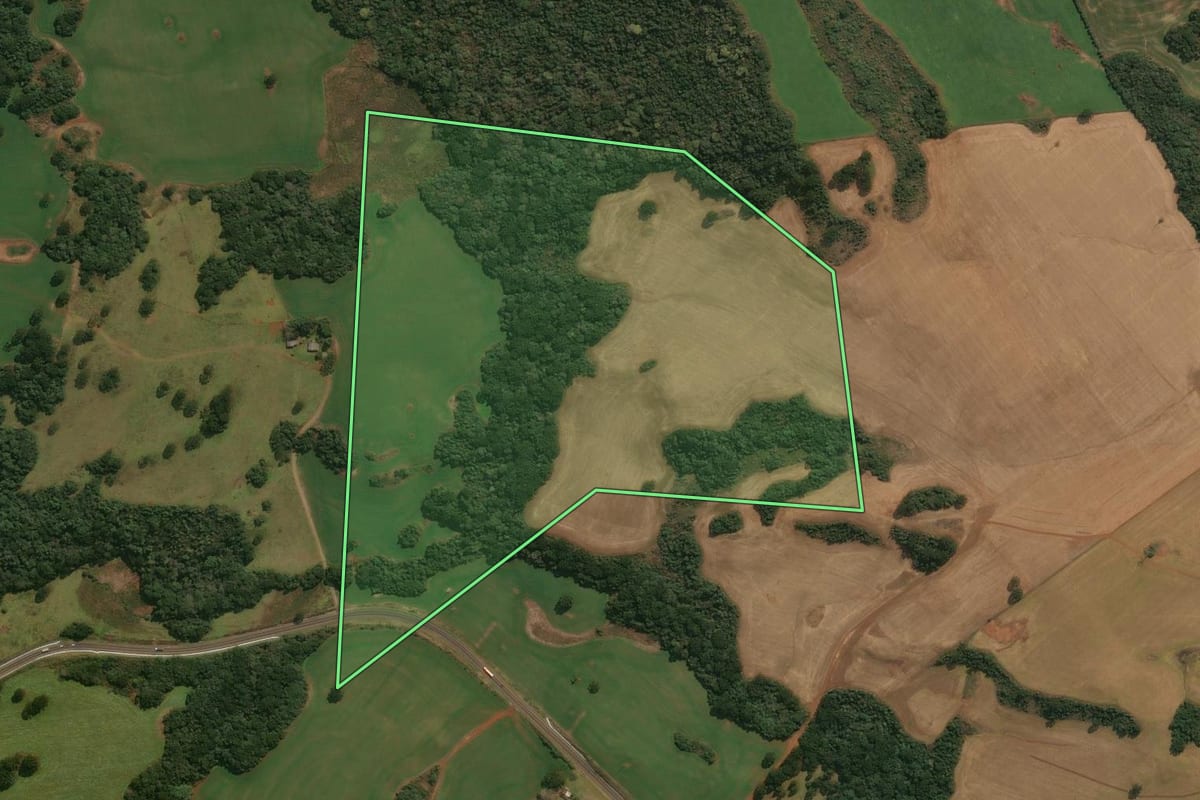 Imagem de satélite do imóvel rural em Muitos Capões (RS), com o contorno declarado no CAR desenhado por cima.