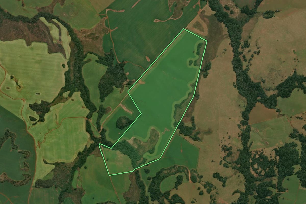 Imagem de satélite do imóvel rural em Muitos Capões (RS), com o contorno declarado no CAR desenhado por cima.