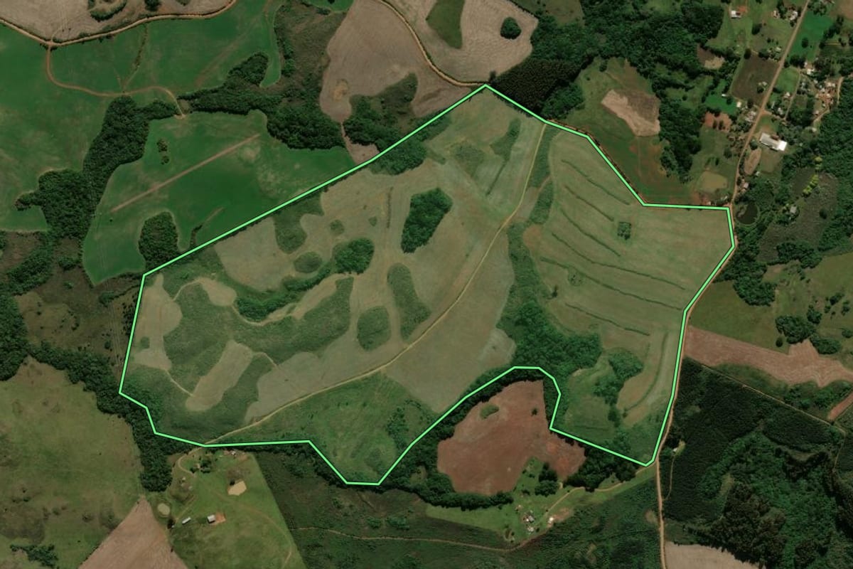Imagem de satélite do imóvel rural em Muitos Capões (RS), com o contorno declarado no CAR desenhado por cima.