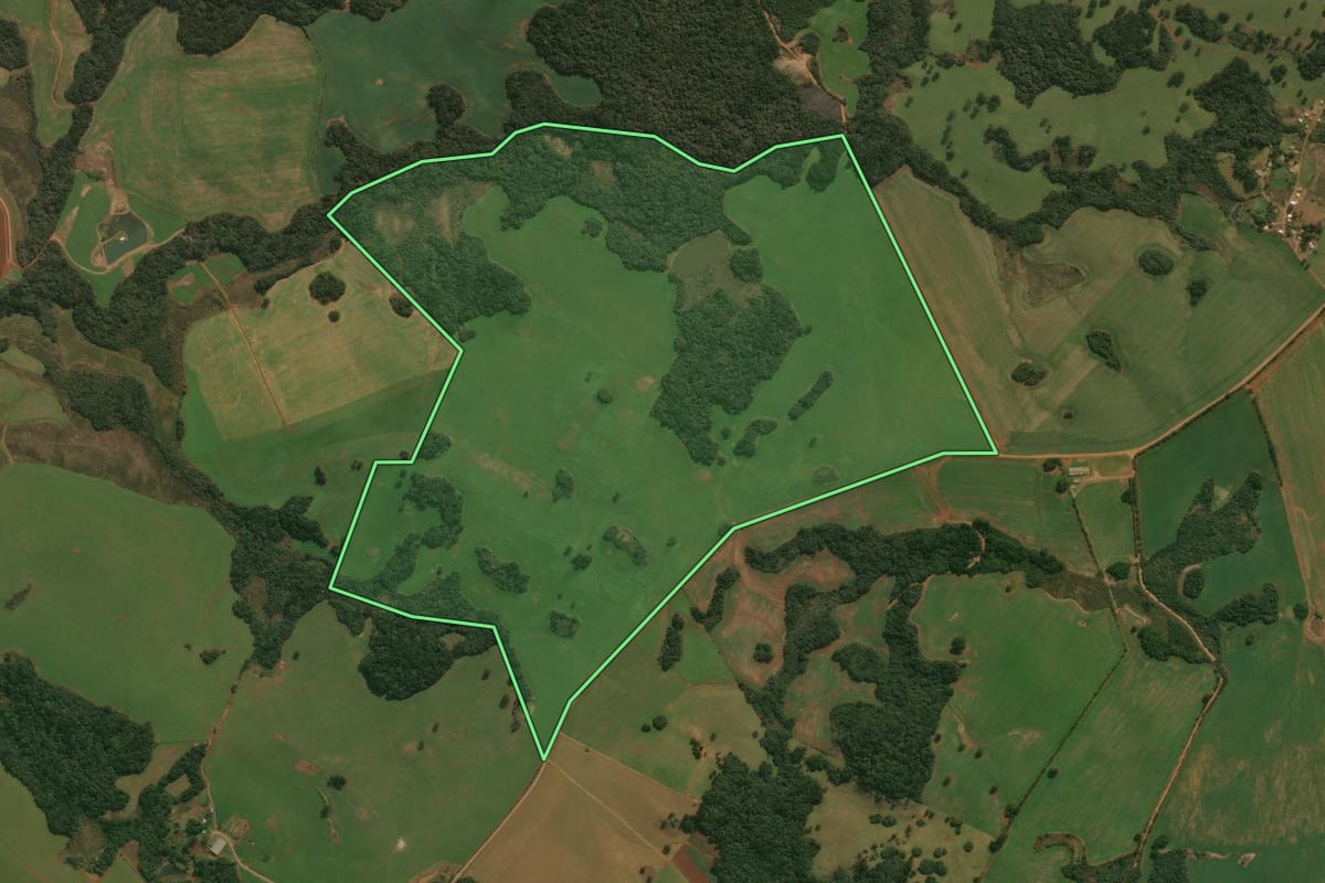 Imagem de satélite do imóvel rural em Muitos Capões (RS), com o contorno declarado no CAR desenhado por cima.