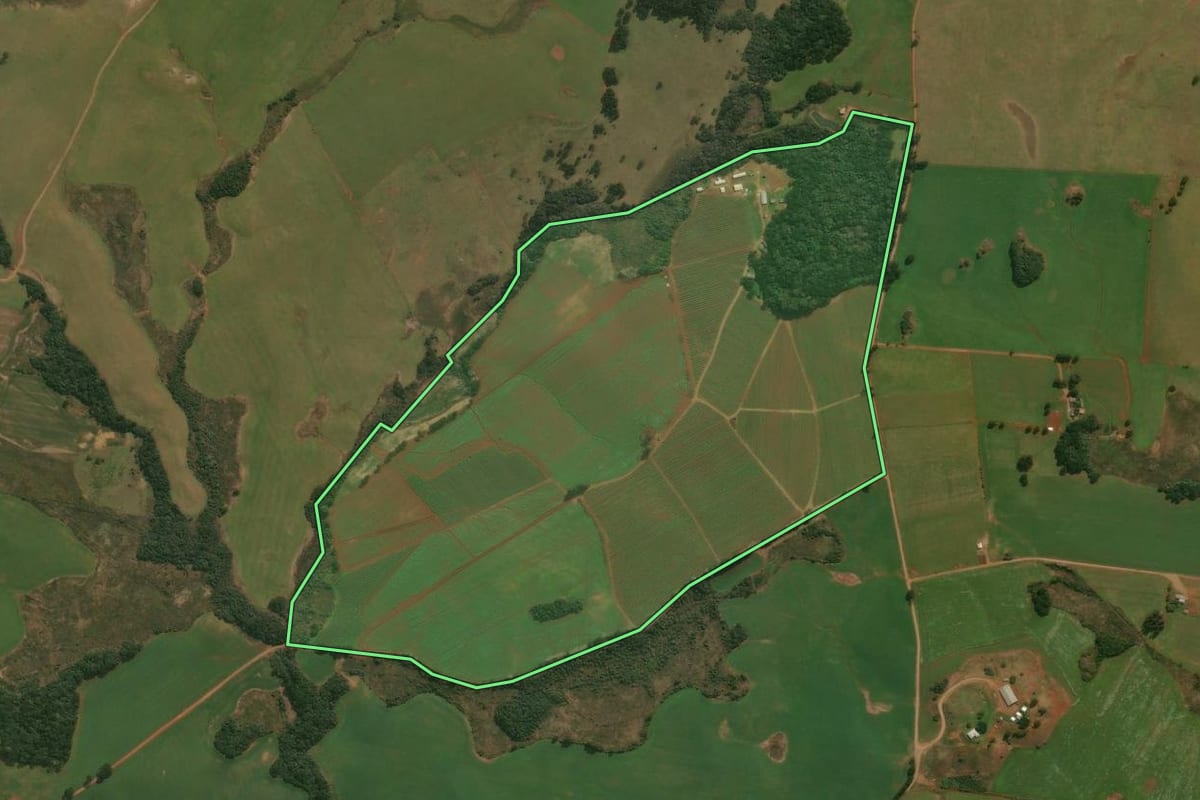 Imagem de satélite do imóvel rural em Muitos Capões (RS), com o contorno declarado no CAR desenhado por cima.