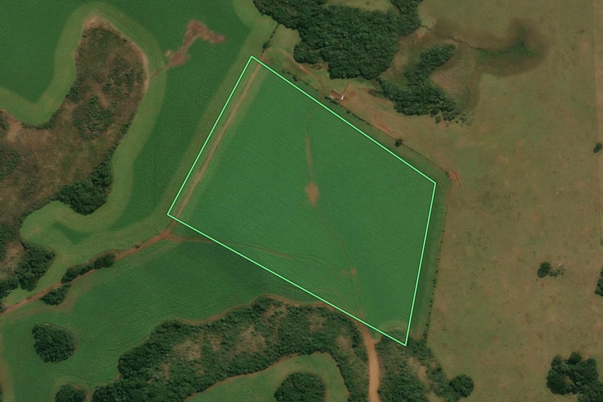 Imagem de satélite do imóvel rural em Muitos Capões (RS), com o contorno declarado no CAR desenhado por cima.