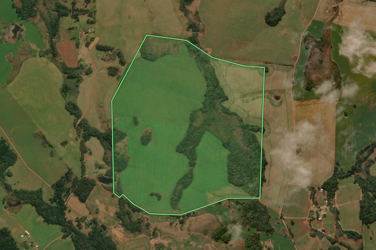 Imagem de satélite do imóvel rural em Muitos Capões (RS), com o contorno declarado no CAR desenhado por cima.