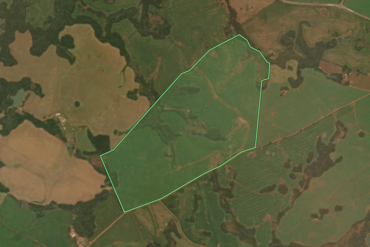 Imagem de satélite do imóvel rural em Muitos Capões (RS), com o contorno declarado no CAR desenhado por cima.
