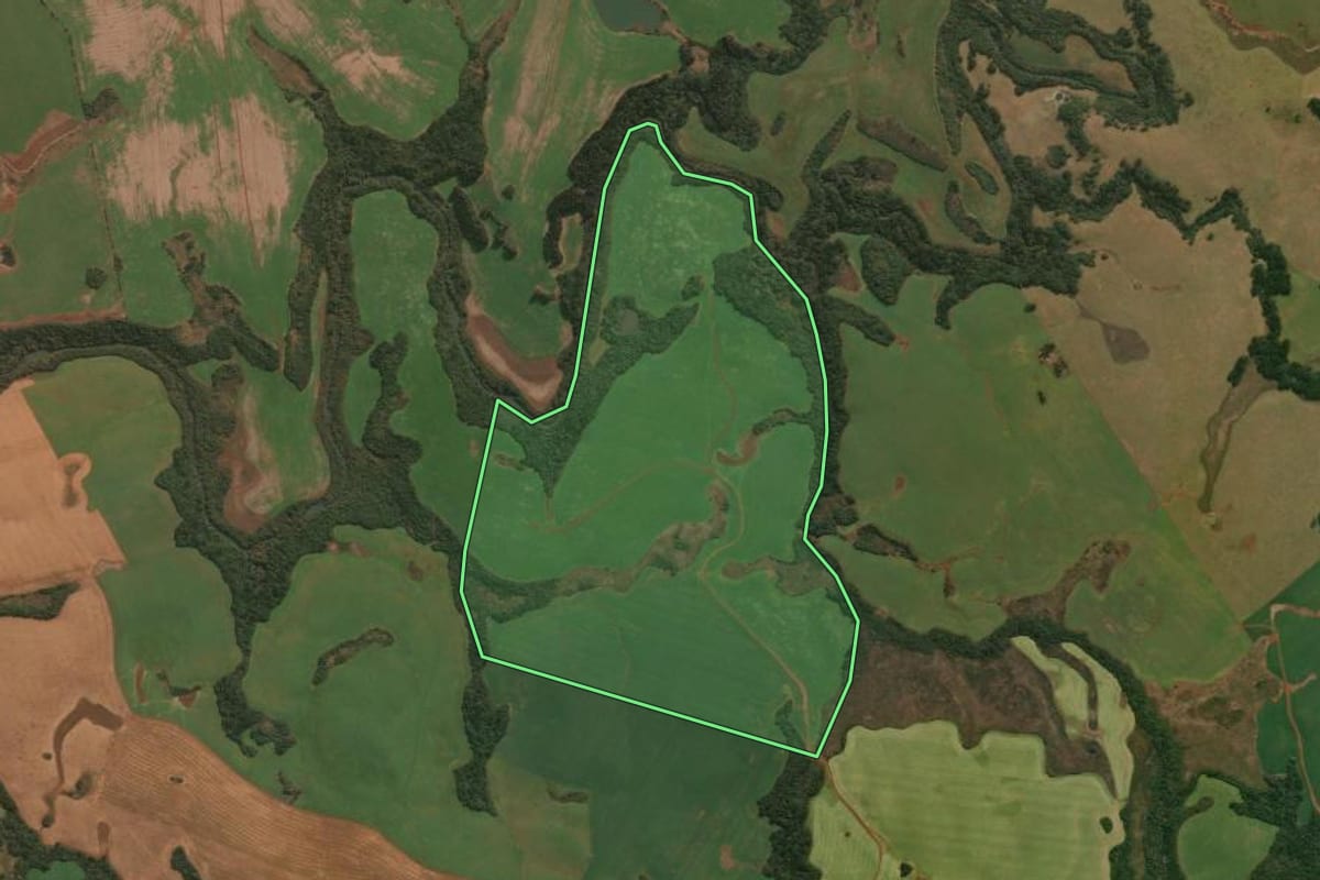 Imagem de satélite do imóvel rural em Muitos Capões (RS), com o contorno declarado no CAR desenhado por cima.