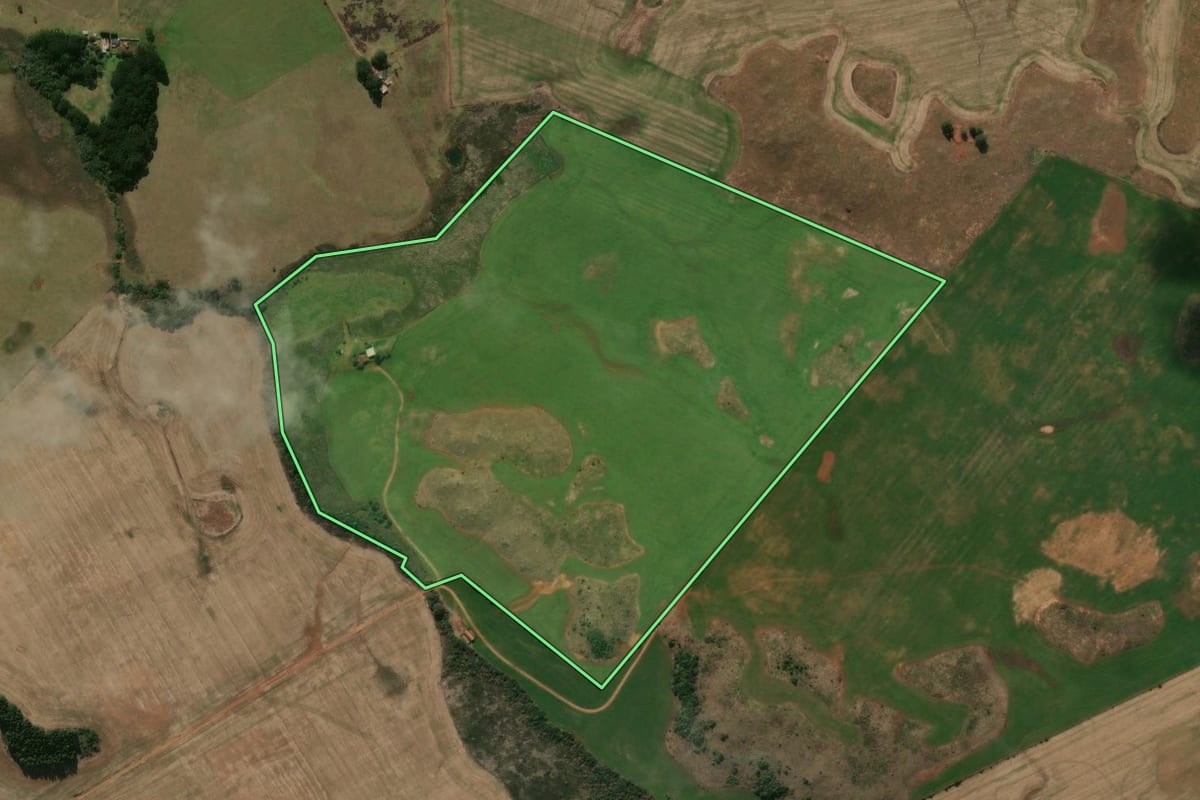 Imagem de satélite do imóvel rural em Muitos Capões (RS), com o contorno declarado no CAR desenhado por cima.