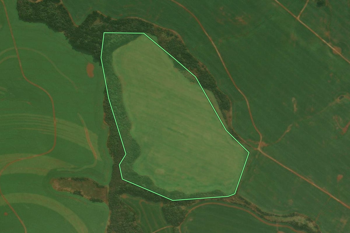 Imagem de satélite do imóvel rural em Muitos Capões (RS), com o contorno declarado no CAR desenhado por cima.