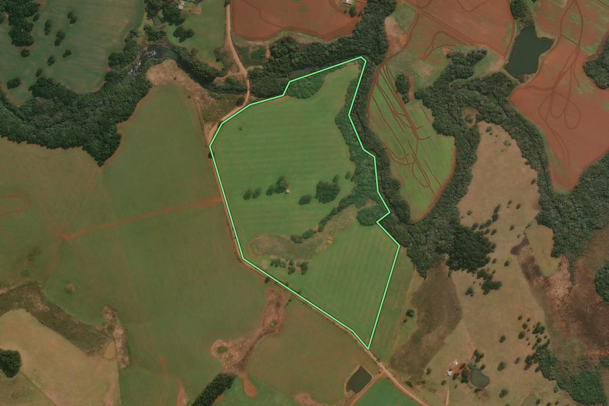 Imagem de satélite do imóvel rural em Muitos Capões (RS), com o contorno declarado no CAR desenhado por cima.