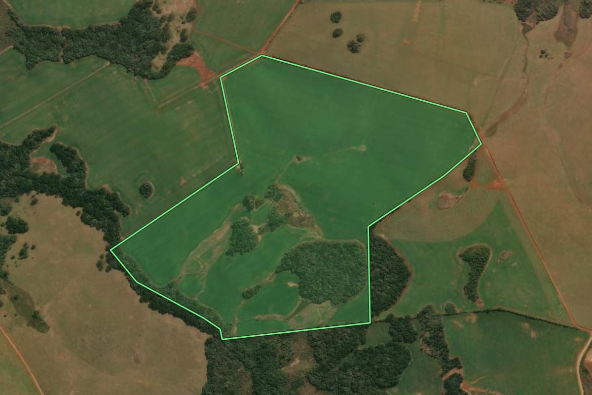 Imagem de satélite do imóvel rural em Muitos Capões (RS), com o contorno declarado no CAR desenhado por cima.