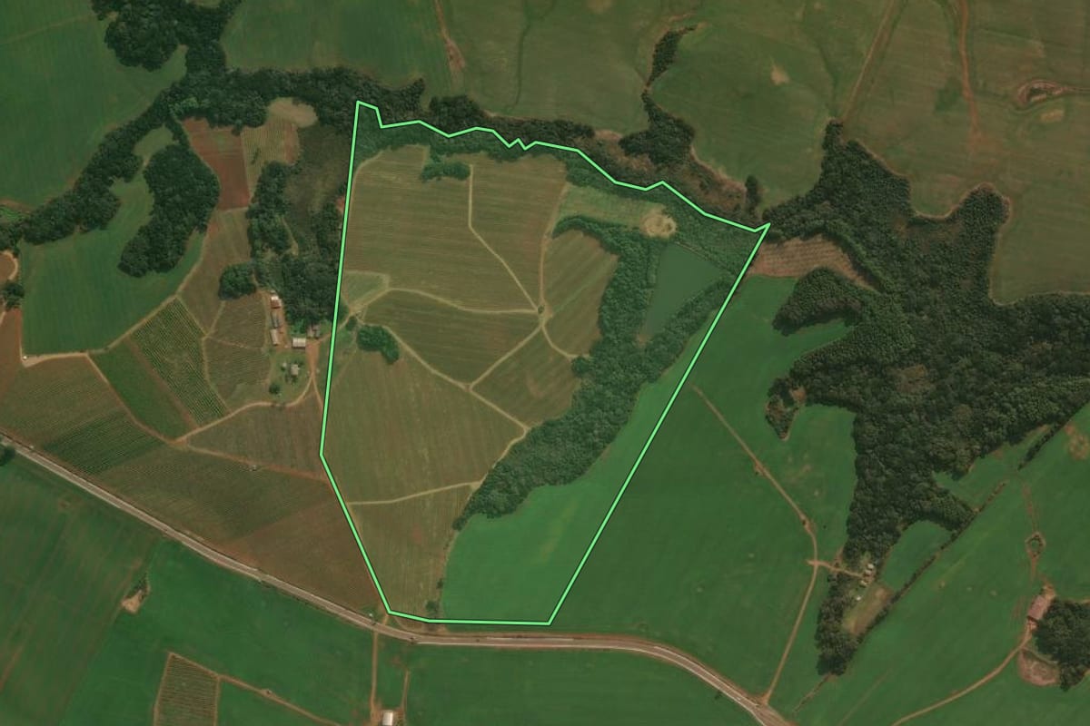 Imagem de satélite do imóvel rural em Muitos Capões (RS), com o contorno declarado no CAR desenhado por cima.