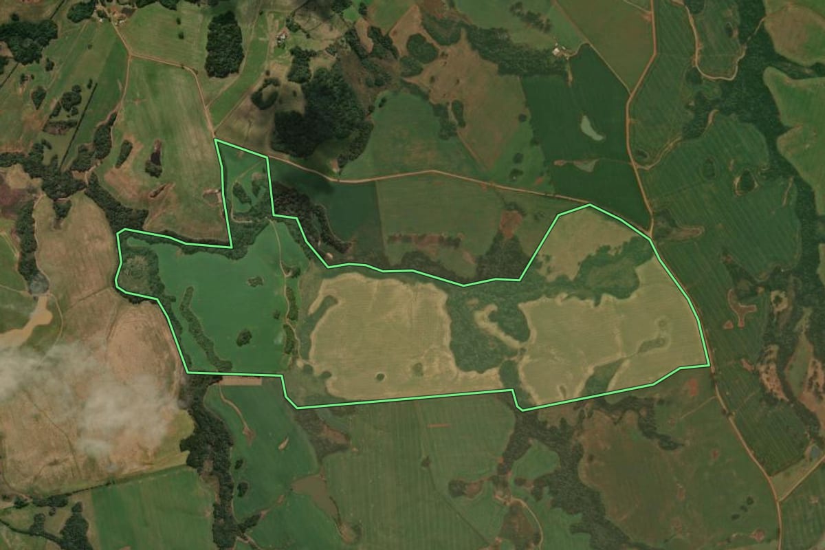 Imagem de satélite do imóvel rural em Muitos Capões (RS), com o contorno declarado no CAR desenhado por cima.