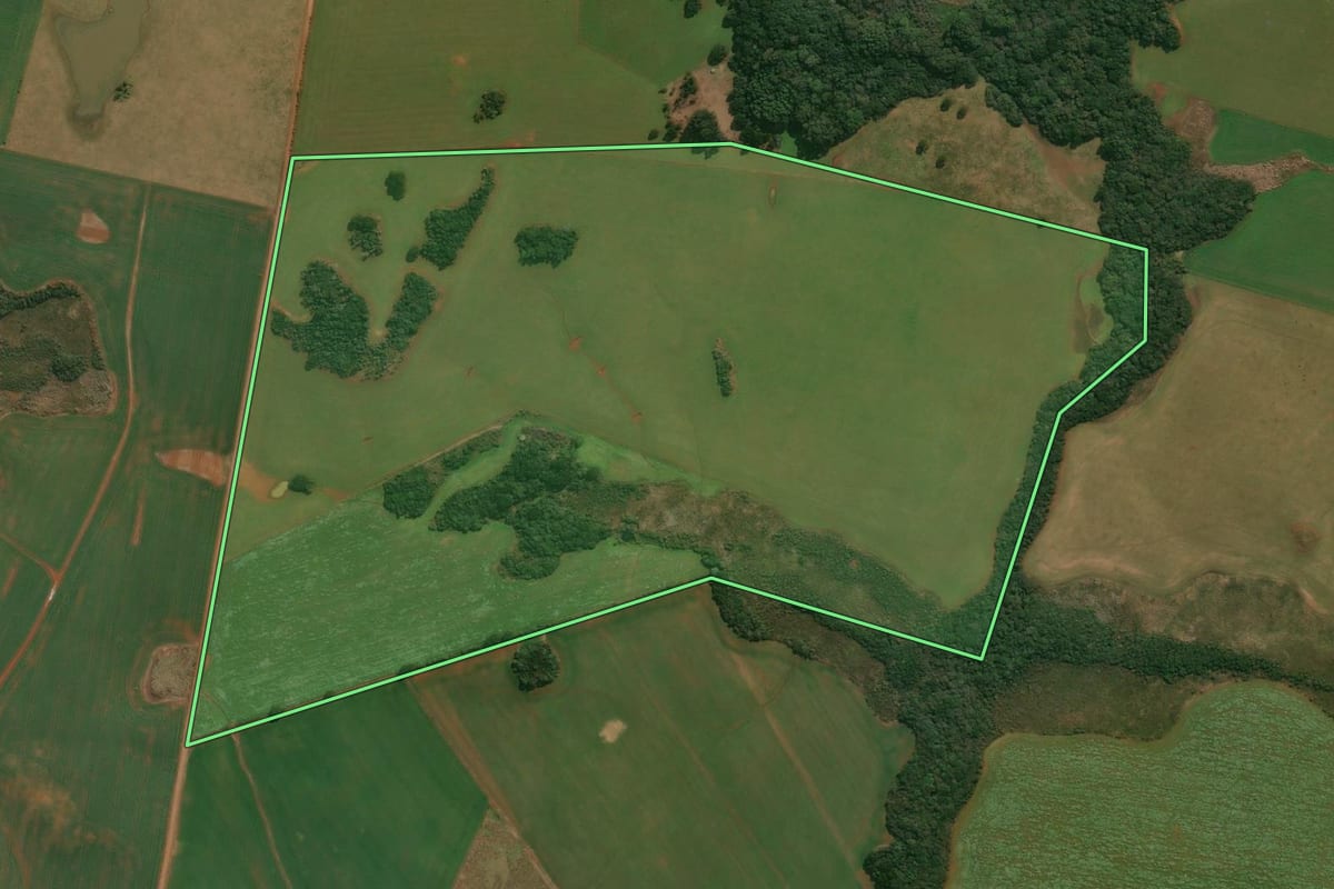 Imagem de satélite do imóvel rural em Muitos Capões (RS), com o contorno declarado no CAR desenhado por cima.