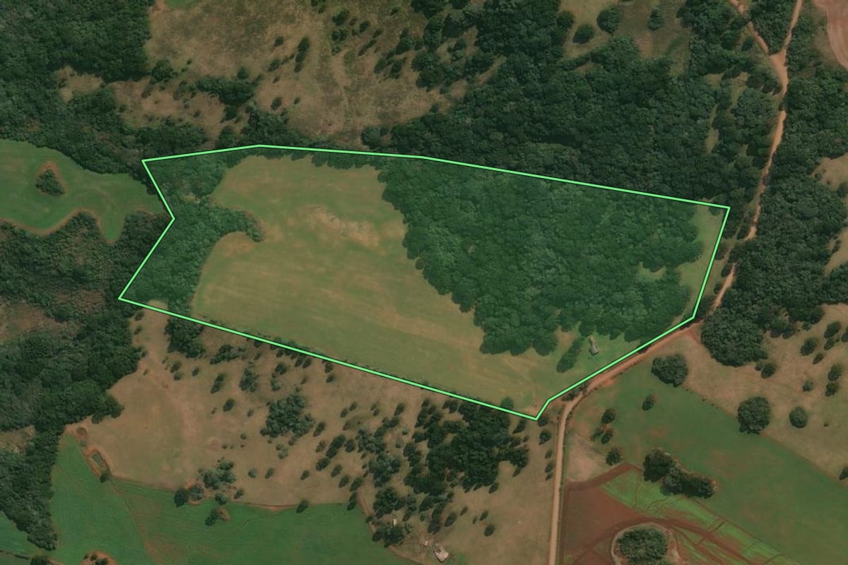 Imagem de satélite do imóvel rural em Muitos Capões (RS), com o contorno declarado no CAR desenhado por cima.