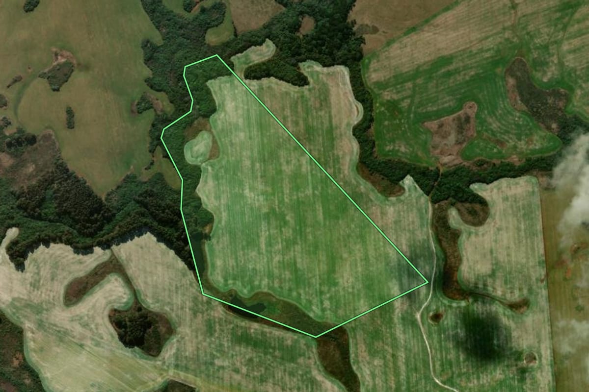 Imagem de satélite do imóvel rural em Muitos Capões (RS), com o contorno declarado no CAR desenhado por cima.