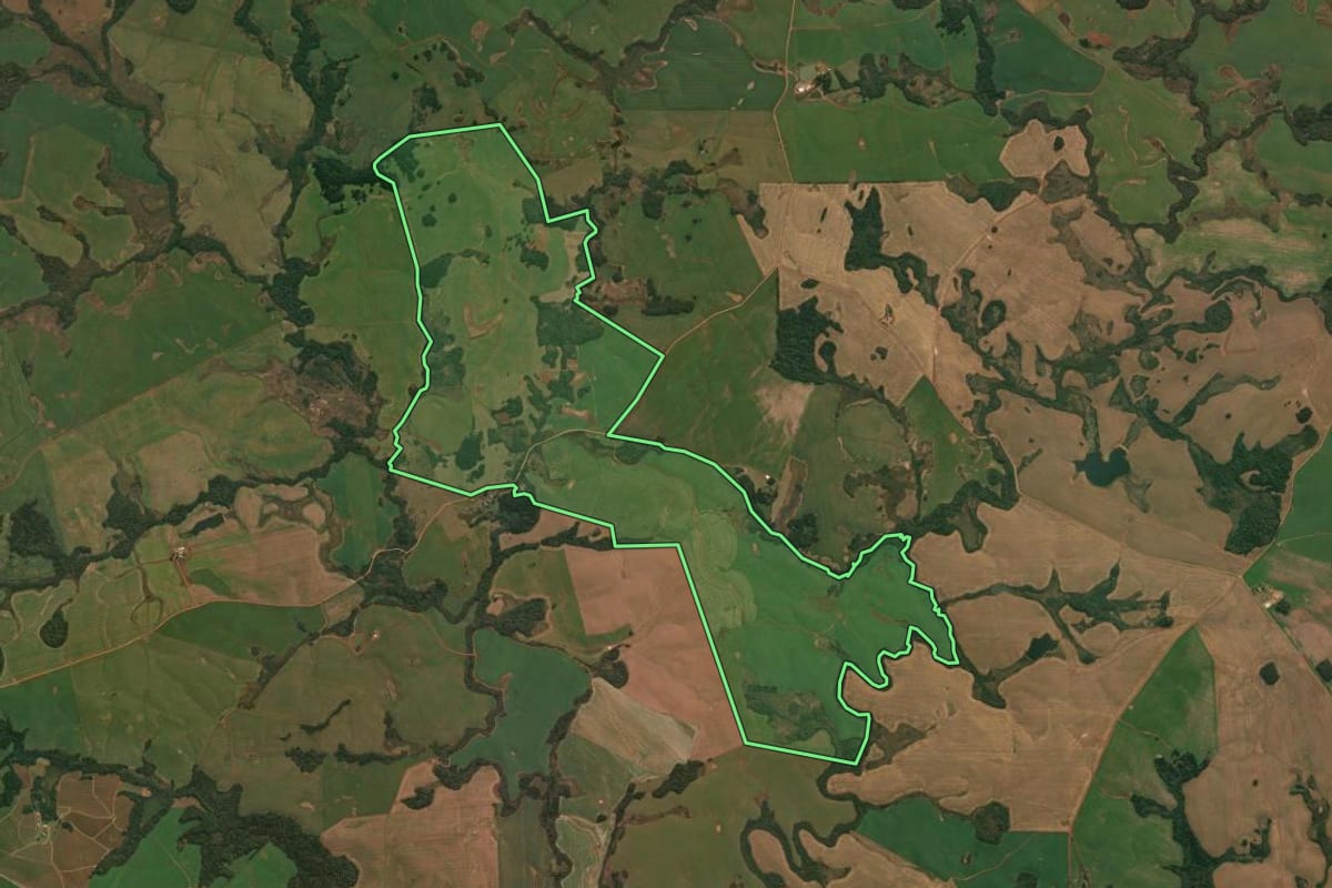 Imagem de satélite do imóvel rural em Muitos Capões (RS), com o contorno declarado no CAR desenhado por cima.