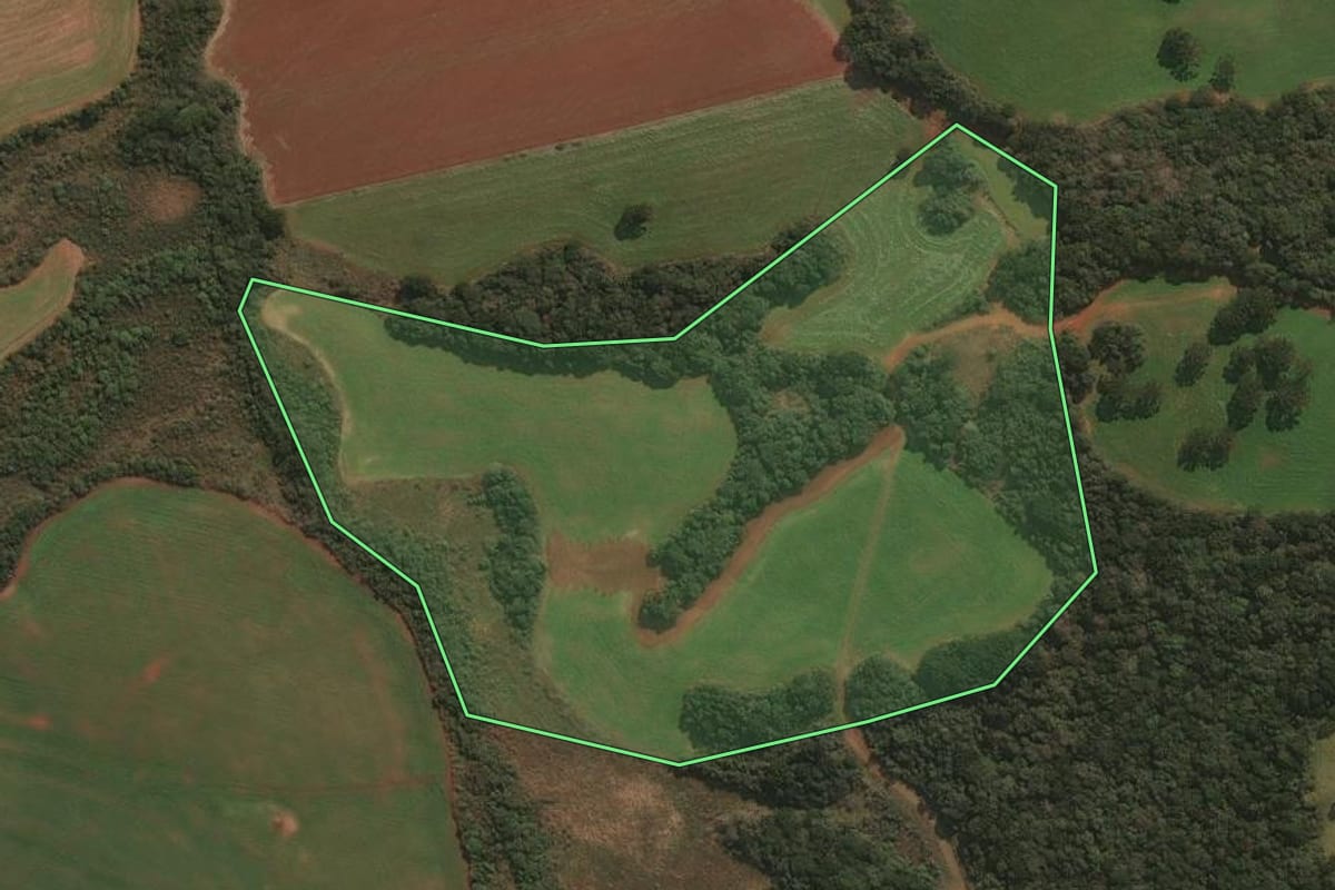 Imagem de satélite do imóvel rural em Muitos Capões (RS), com o contorno declarado no CAR desenhado por cima.