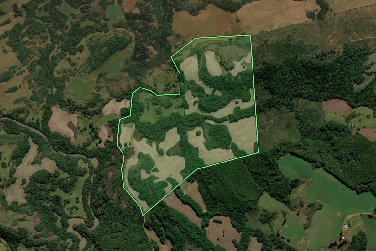 Imagem de satélite do imóvel rural em Muitos Capões (RS), com o contorno declarado no CAR desenhado por cima.