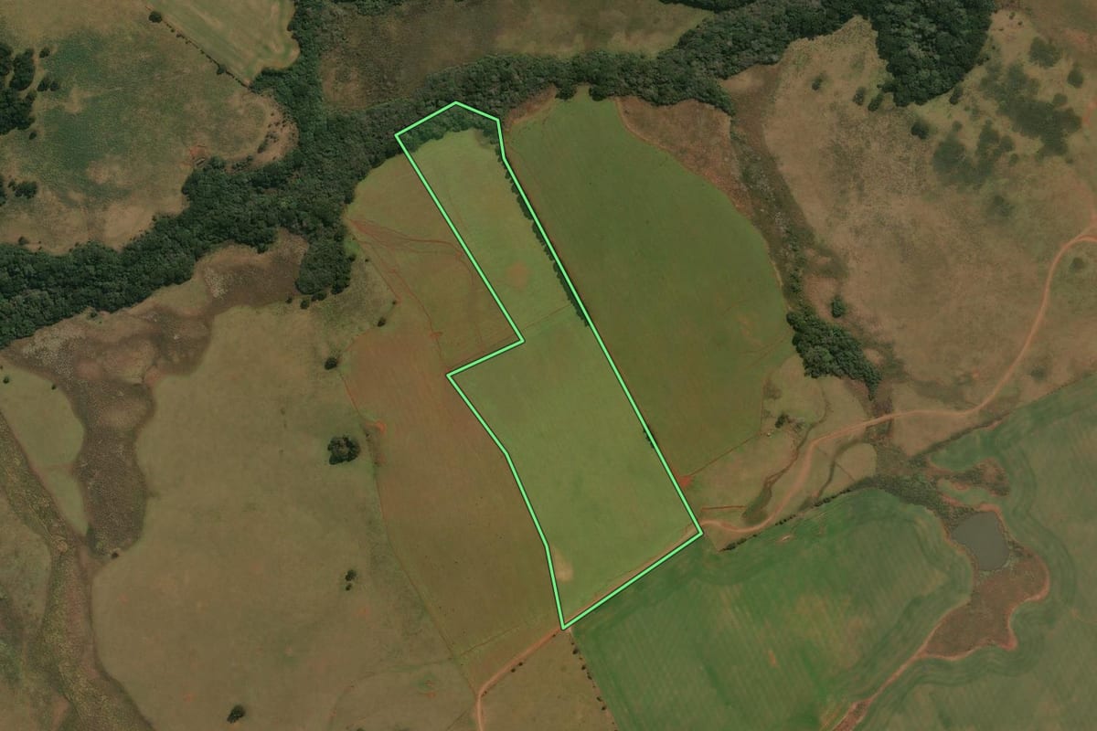 Imagem de satélite do imóvel rural em Muitos Capões (RS), com o contorno declarado no CAR desenhado por cima.