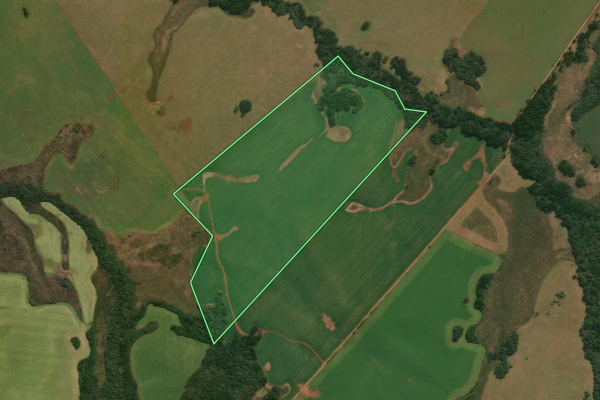 Imagem de satélite do imóvel rural em Muitos Capões (RS), com o contorno declarado no CAR desenhado por cima.