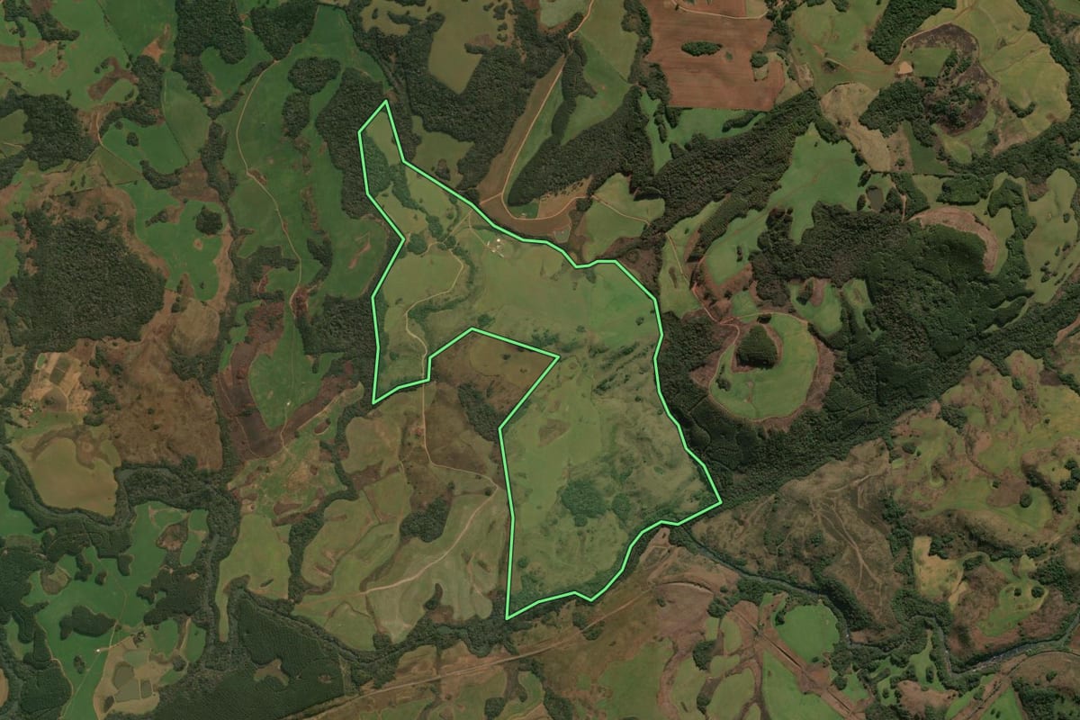 Imagem de satélite do imóvel rural em Muitos Capões (RS), com o contorno declarado no CAR desenhado por cima.