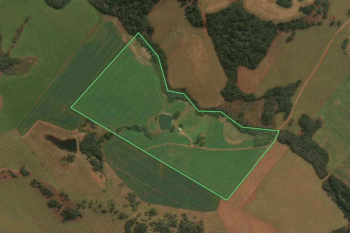 Imagem de satélite do imóvel rural em Muitos Capões (RS), com o contorno declarado no CAR desenhado por cima.
