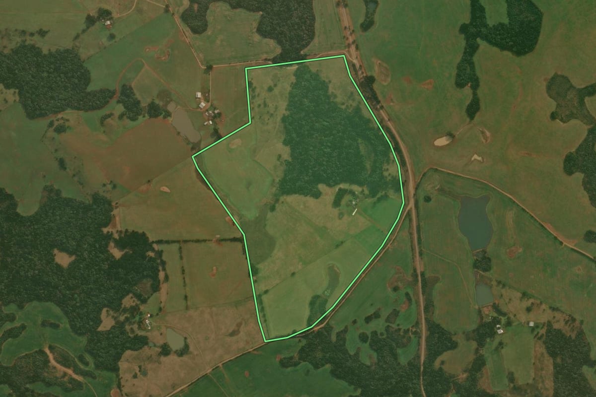 Imagem de satélite do imóvel rural em Muitos Capões (RS), com o contorno declarado no CAR desenhado por cima.