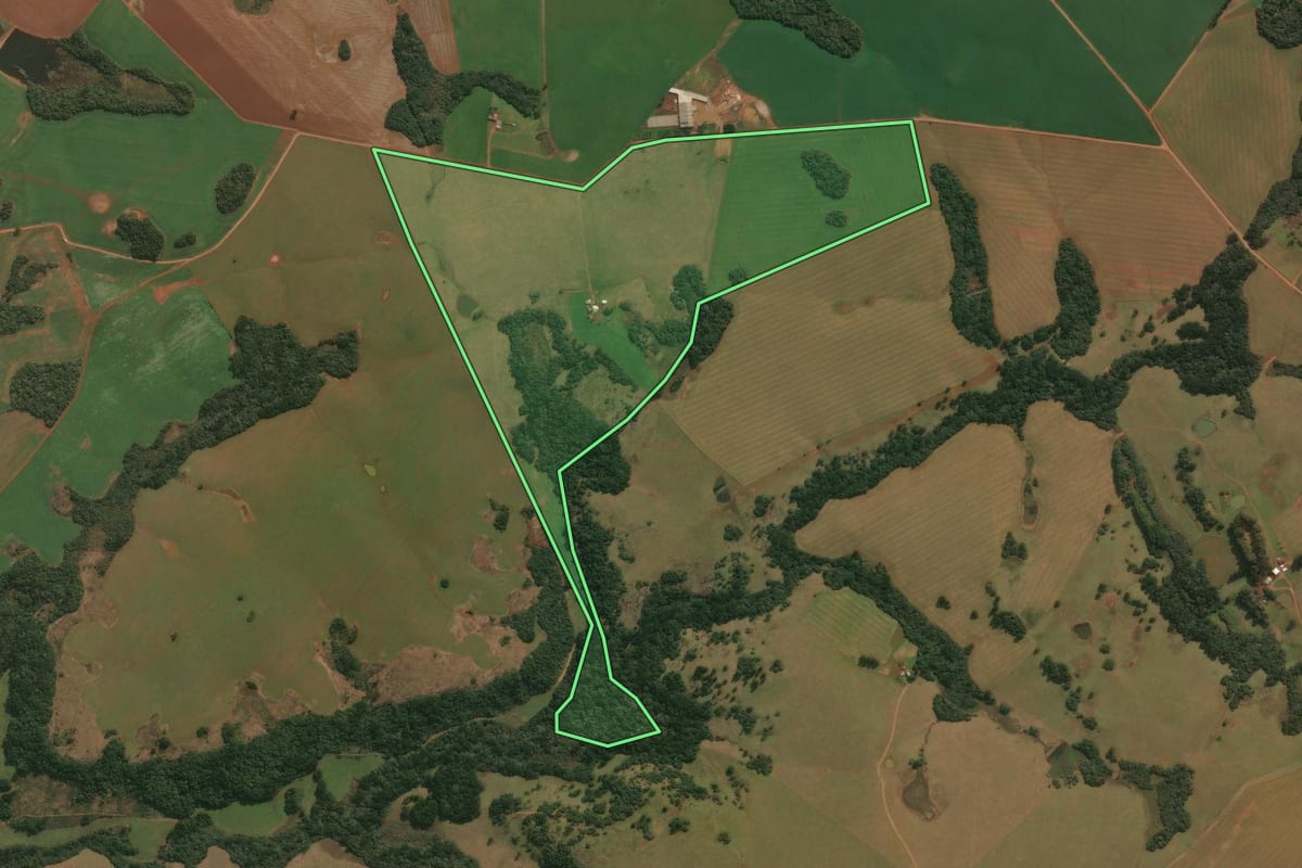 Imagem de satélite do imóvel rural em Muitos Capões (RS), com o contorno declarado no CAR desenhado por cima.