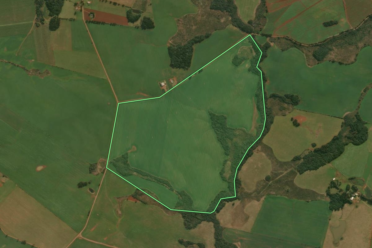 Imagem de satélite do imóvel rural em Muitos Capões (RS), com o contorno declarado no CAR desenhado por cima.