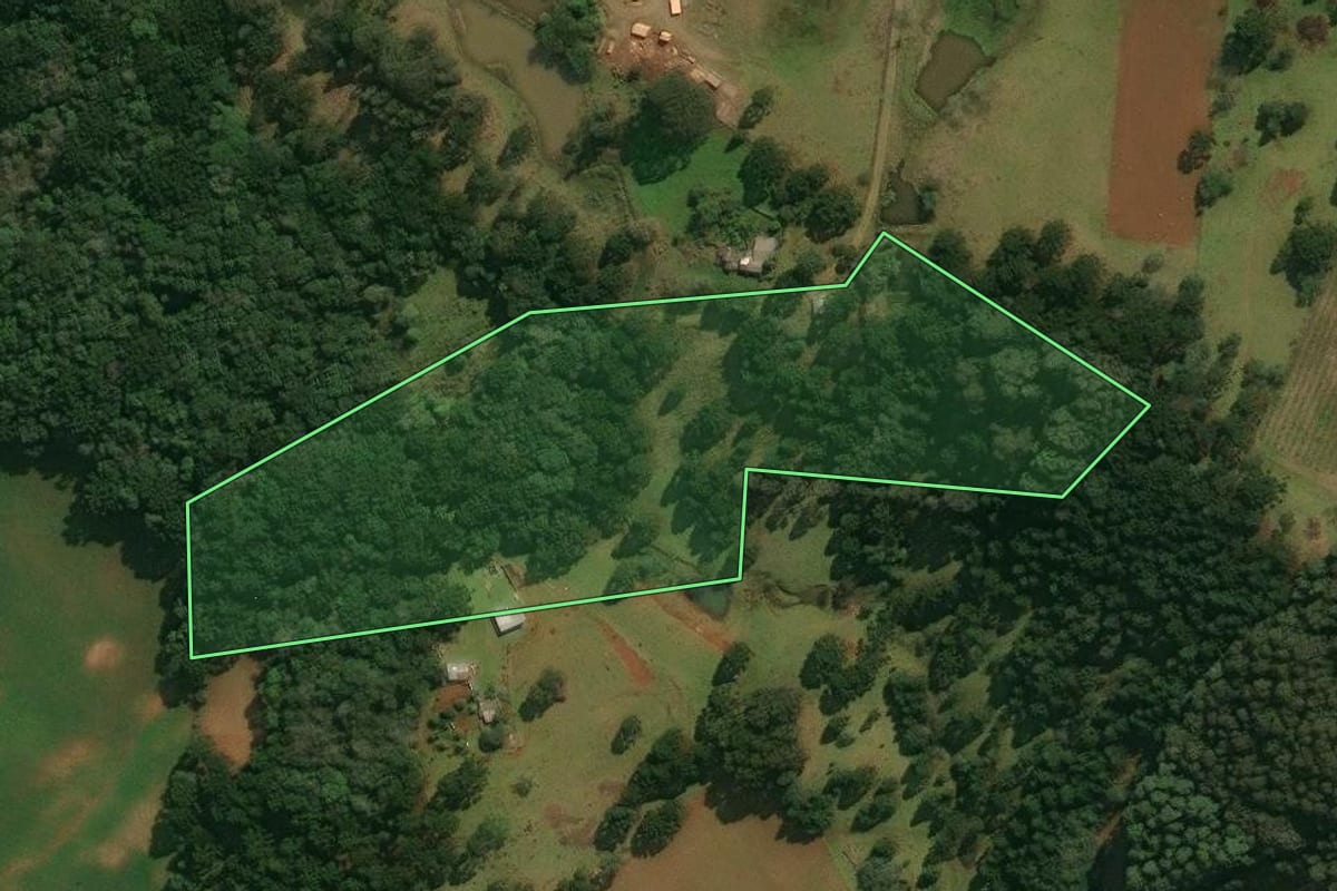 Imagem de satélite do imóvel rural em Muitos Capões (RS), com o contorno declarado no CAR desenhado por cima.