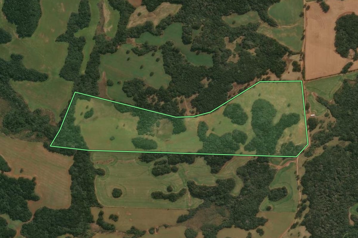 Imagem de satélite do imóvel rural em Muitos Capões (RS), com o contorno declarado no CAR desenhado por cima.