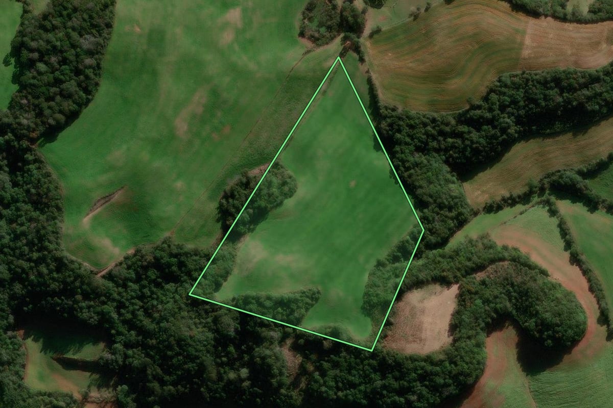 Imagem de satélite do imóvel rural em Muliterno (RS), com o contorno declarado no CAR desenhado por cima.