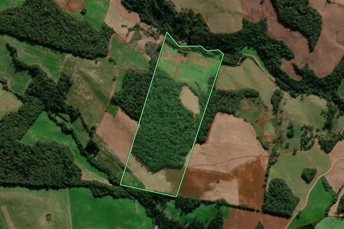 Imagem de satélite do imóvel rural em Muliterno (RS), com o contorno declarado no CAR desenhado por cima.