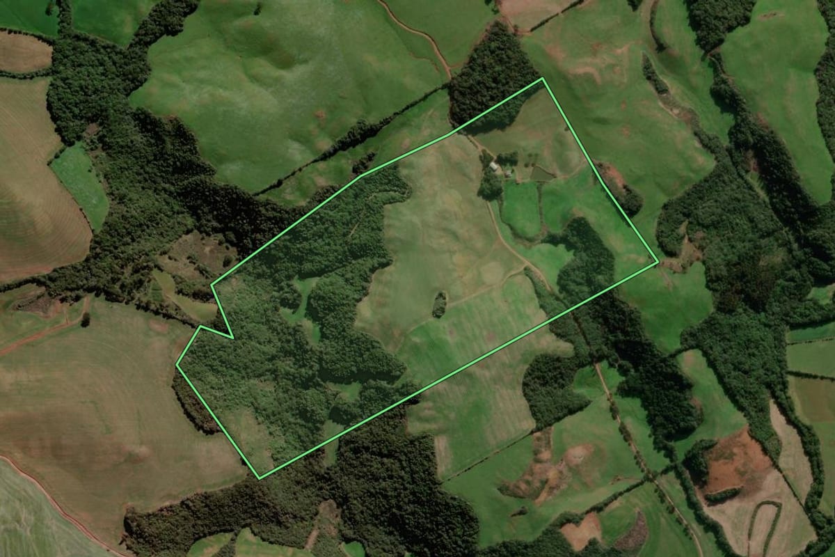 Imagem de satélite do imóvel rural em Muliterno (RS), com o contorno declarado no CAR desenhado por cima.