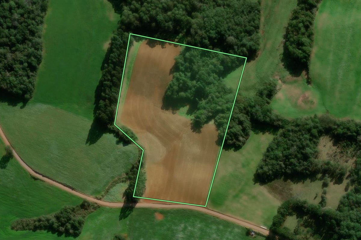 Imagem de satélite do imóvel rural em Muliterno (RS), com o contorno declarado no CAR desenhado por cima.