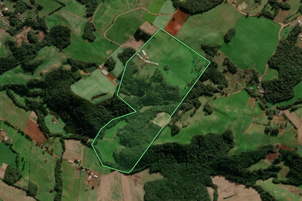 Imagem de satélite do imóvel rural em Muliterno (RS), com o contorno declarado no CAR desenhado por cima.