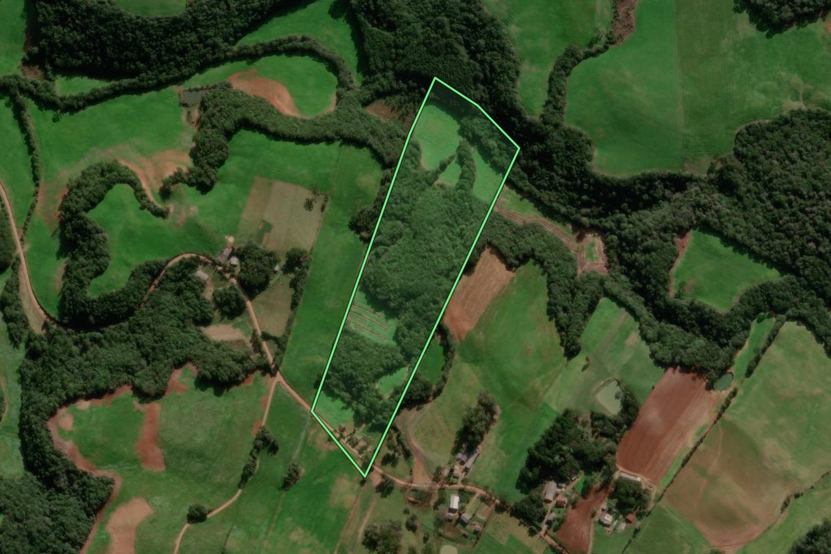 Imagem de satélite do imóvel rural em Muliterno (RS), com o contorno declarado no CAR desenhado por cima.