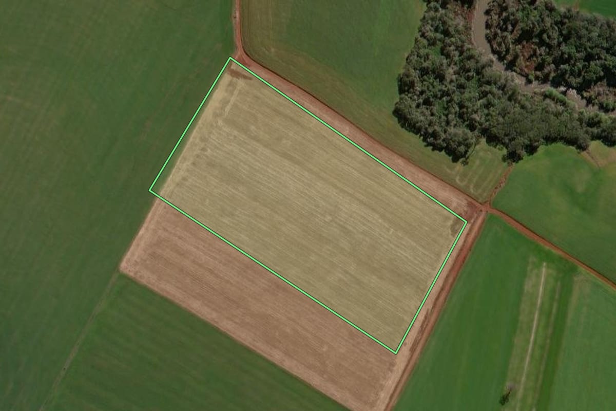 Imagem de satélite do imóvel rural em Não-Me-Toque (RS), com o contorno declarado no CAR desenhado por cima.