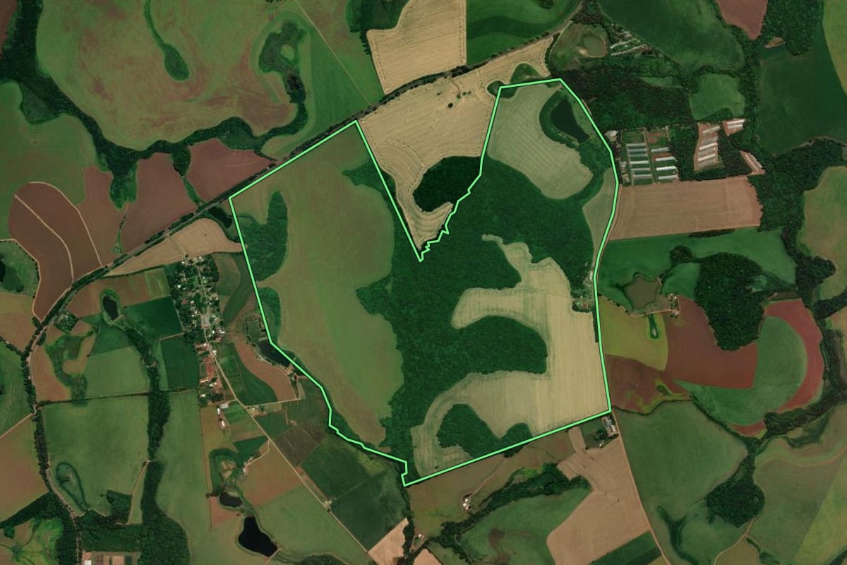 Imagem de satélite do imóvel rural em Não-Me-Toque (RS), com o contorno declarado no CAR desenhado por cima.