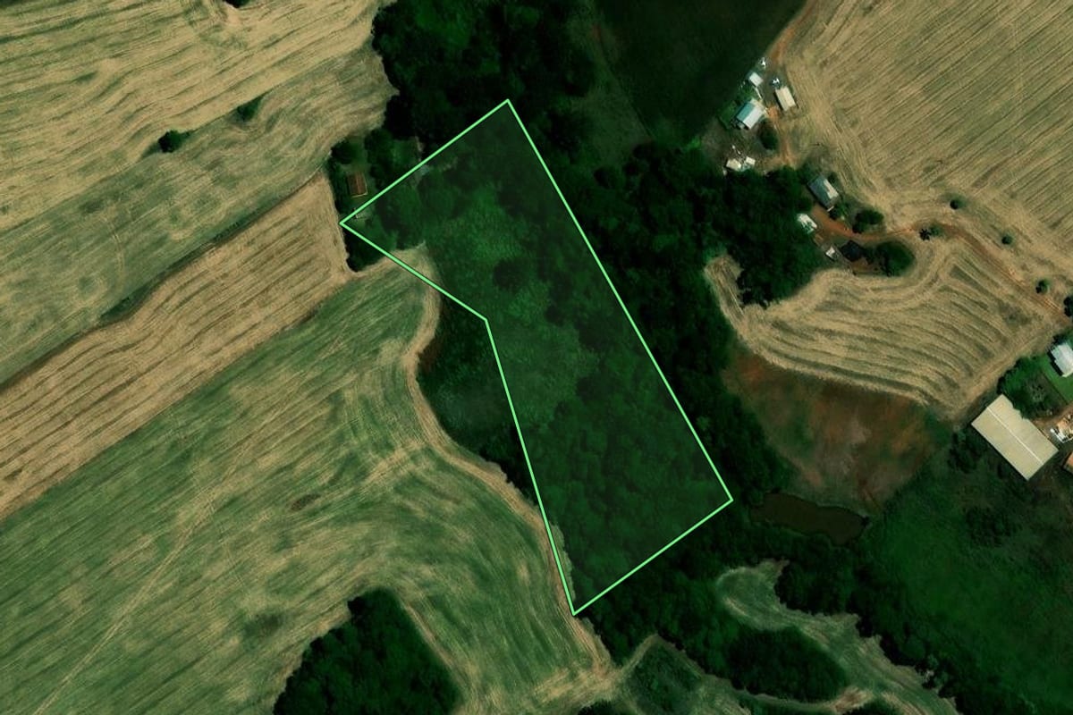 Imagem de satélite do imóvel rural em Não-Me-Toque (RS), com o contorno declarado no CAR desenhado por cima.