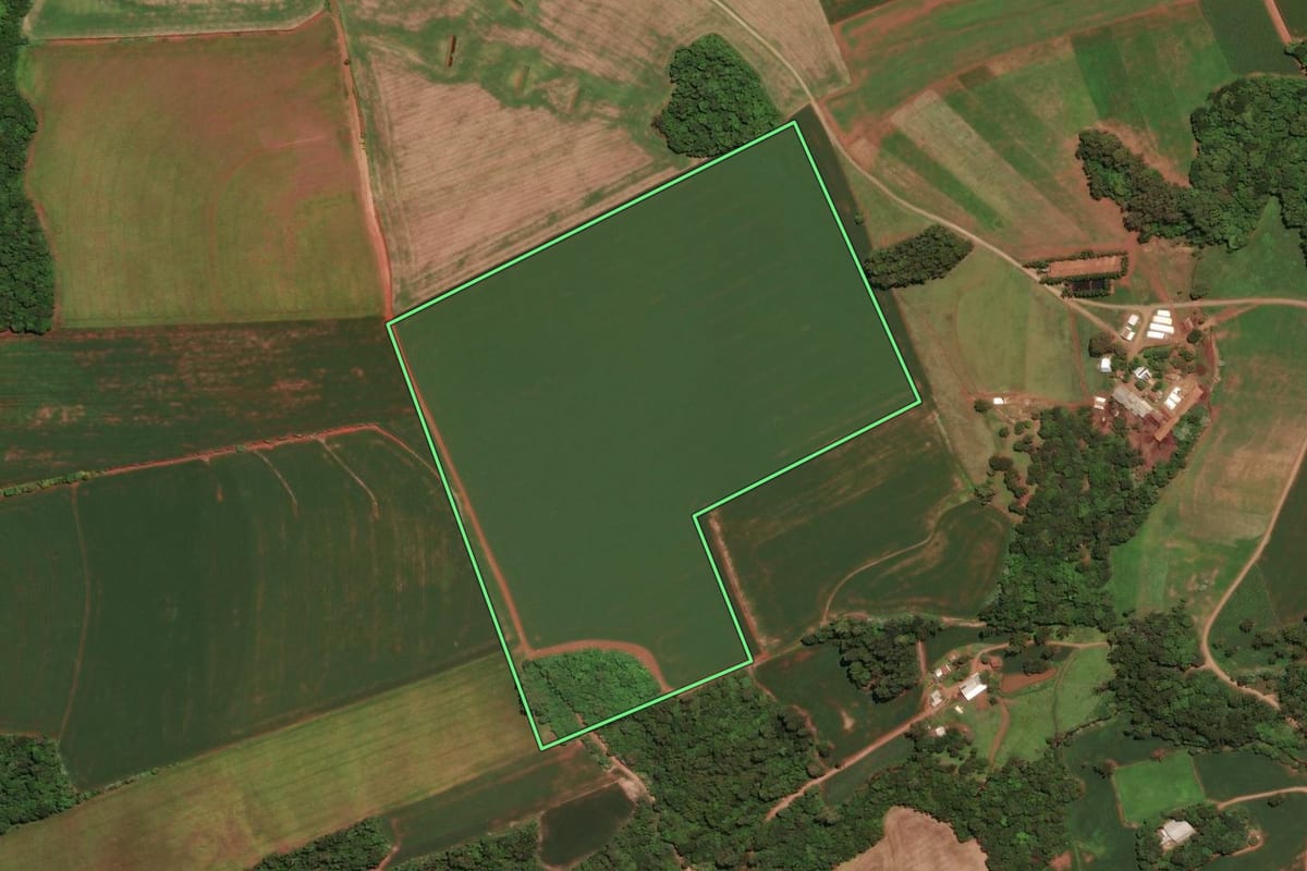 Imagem de satélite do imóvel rural em Não-Me-Toque (RS), com o contorno declarado no CAR desenhado por cima.