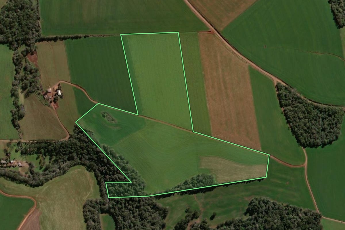 Imagem de satélite do imóvel rural em Não-Me-Toque (RS), com o contorno declarado no CAR desenhado por cima.