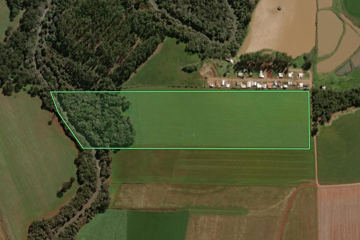 Imagem de satélite do imóvel rural em Não-Me-Toque (RS), com o contorno declarado no CAR desenhado por cima.