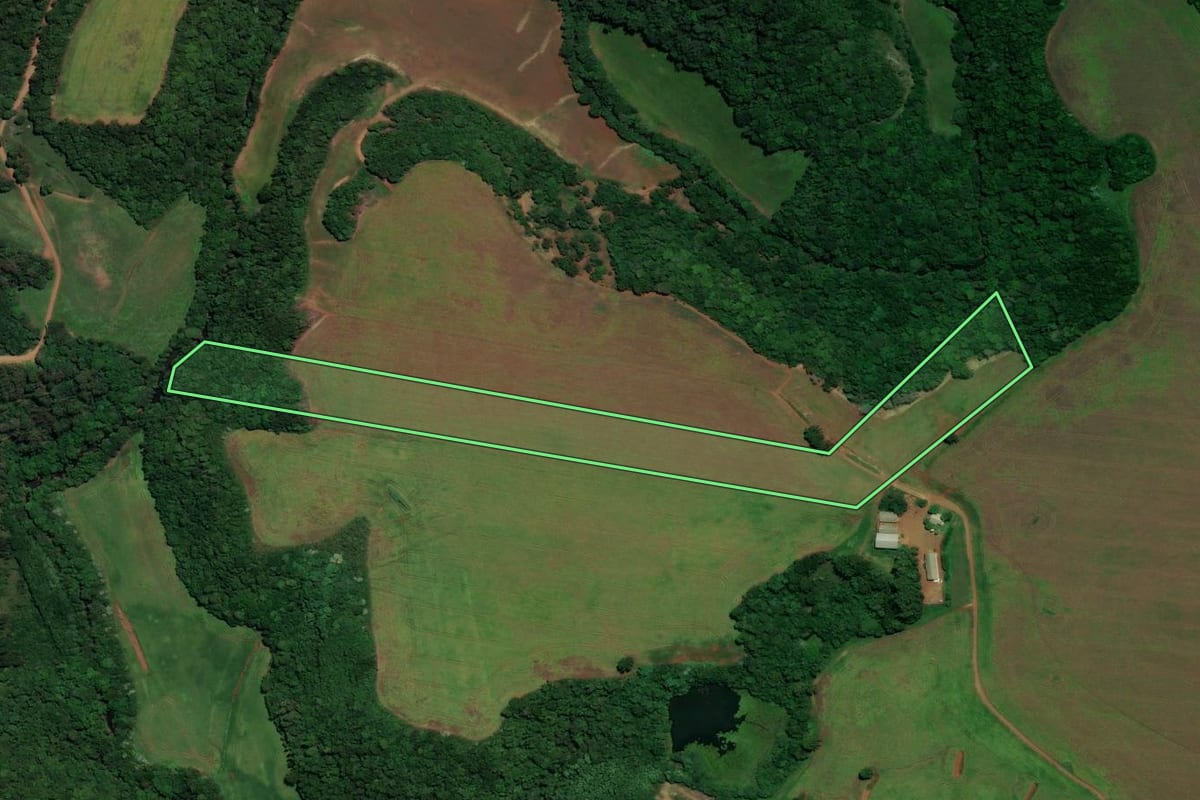 Imagem de satélite do imóvel rural em Não-Me-Toque (RS), com o contorno declarado no CAR desenhado por cima.